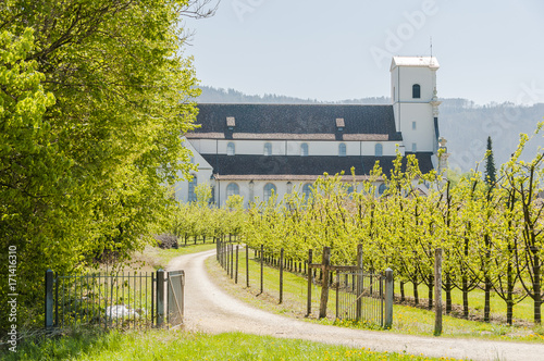 Arlesheim, Dorf, Kloster Mariastein, Kloster, Obstbäume, Obstbauer, Blütezeit, Obstblüten, Frühling, Wanderweg, Frühlingswanderung, Schweiz photo