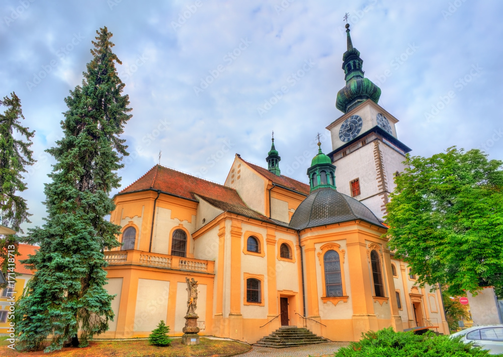 St. Martin church in Trebic, Czech Republic