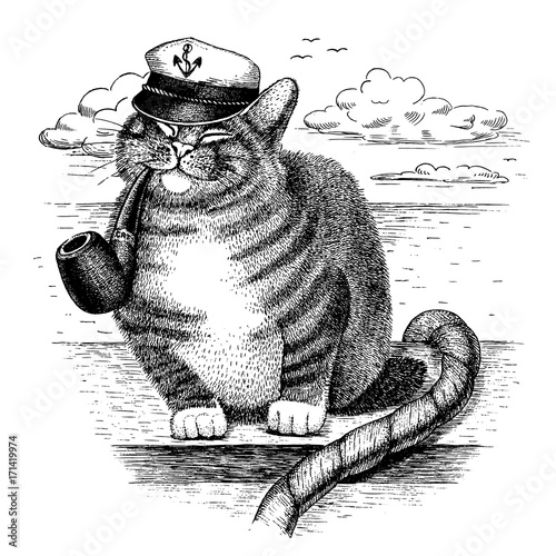 Cat captain drawn by hand