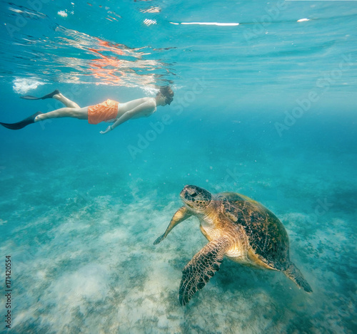 Young boy Snorkel swim with green sea turtle, Egypt