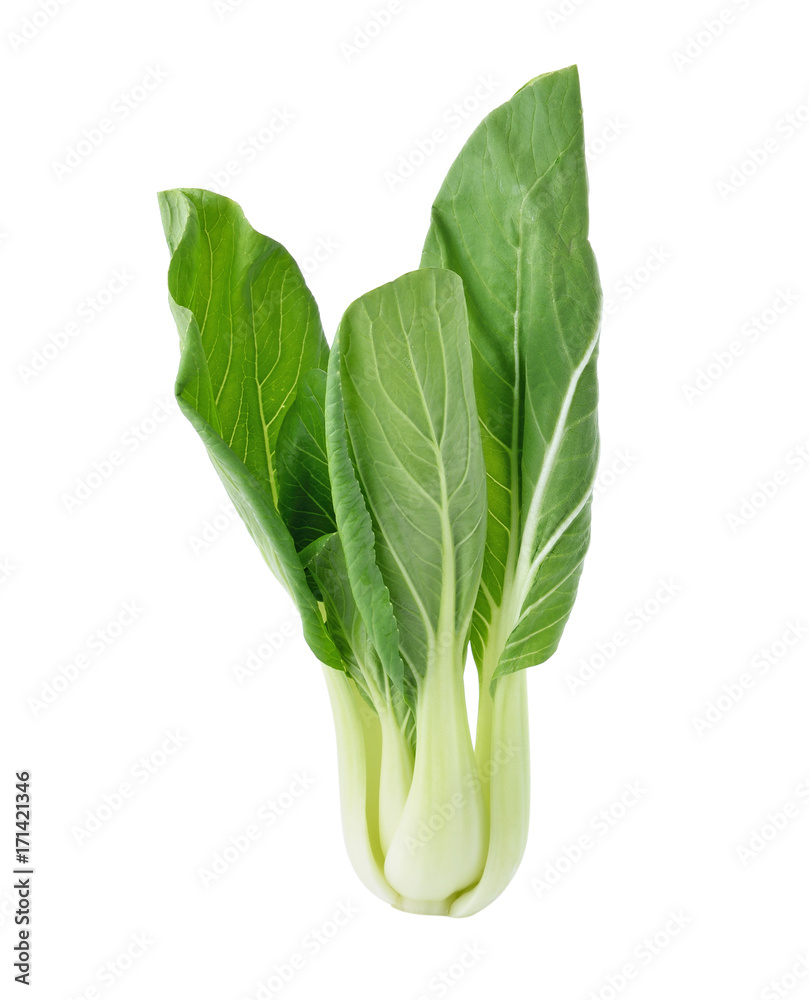 Bok choy (chinese cabbage) isolated on white Bok choy (chinese cabbage) isolated on white