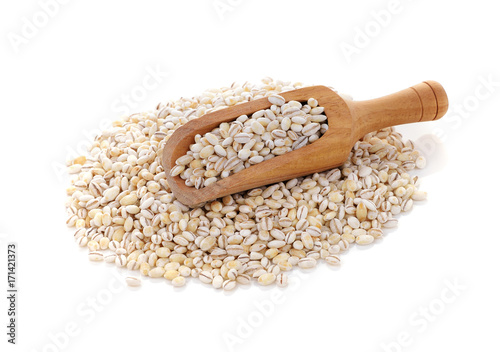 Barley grains isolated on white background.