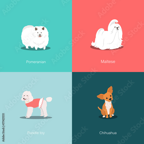 Set of dogs different breed vector illustration