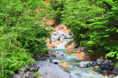 川の上流