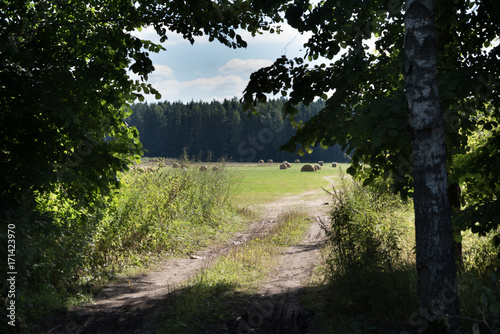 Green summer landscape with road, field and cloudy sky, harvest season