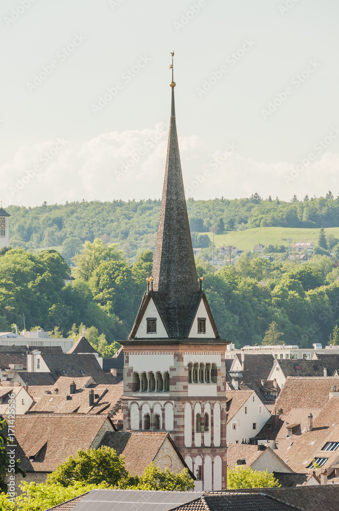 Schaffhausen, Stadt, Altstadt, Münster, Münsterkirche, Kirche, Kirchturm, Altstadthäuser, historische Häuser, Rhein, Frühling, Schweiz