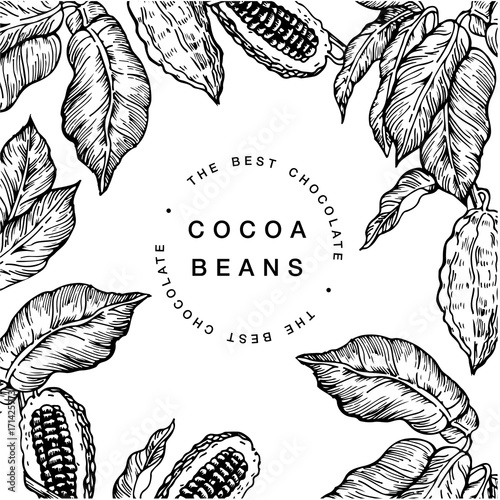 Cocoa bean tree design template. Engraved style illustration. Chocolate cocoa beans. Vector illustration