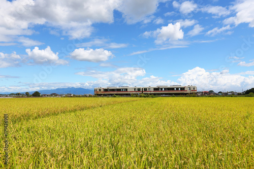 列車と秋の田んぼ