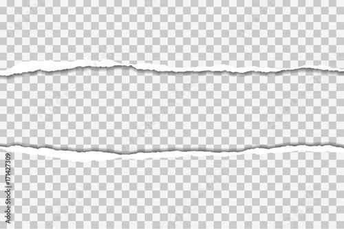 vector realistic illustration of torn paper with shadow on transparent background