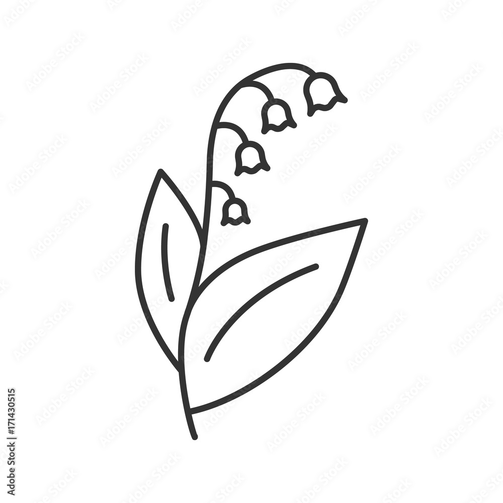 Lily of the valley, may-lily linear icon Lily of the valley, may-lily linear icon