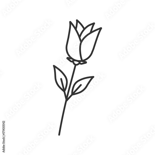 Rose flower linear icon