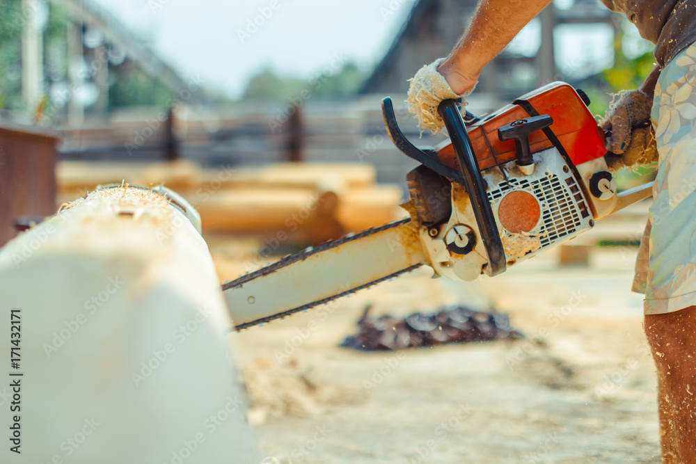 worker sawing a chainsaw tree