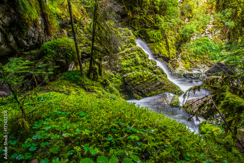 Torrent secret en forêt