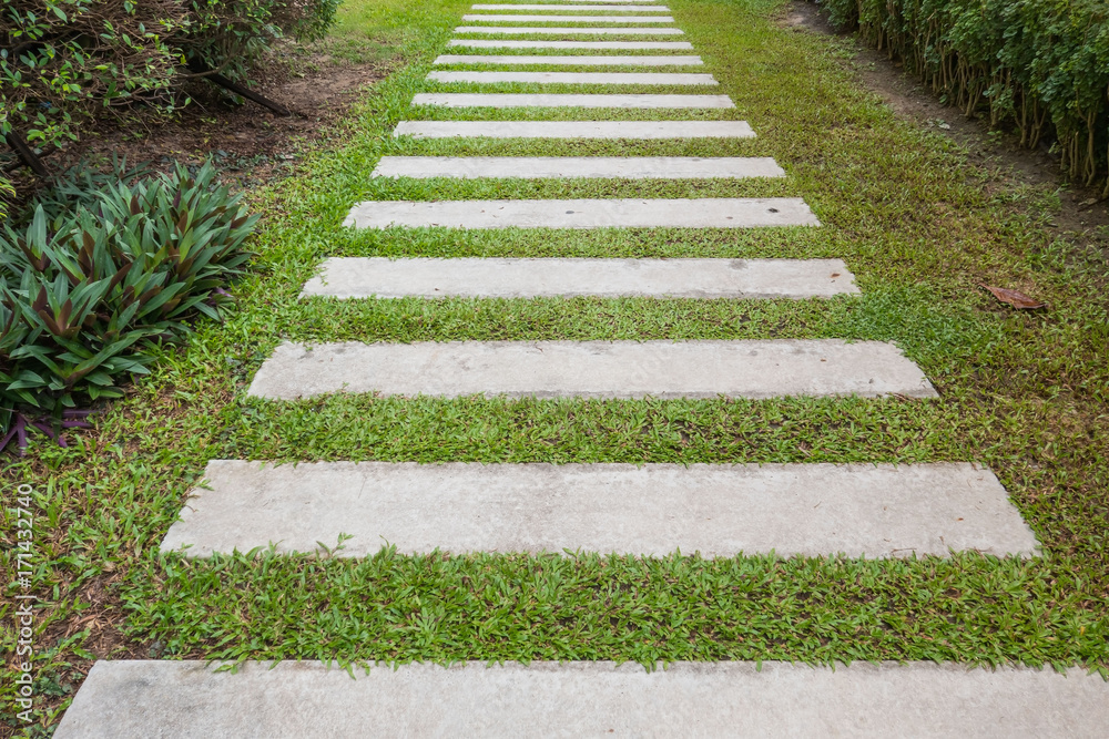 The walkway on the grass in the garden . The walkway on the grass in the garden .