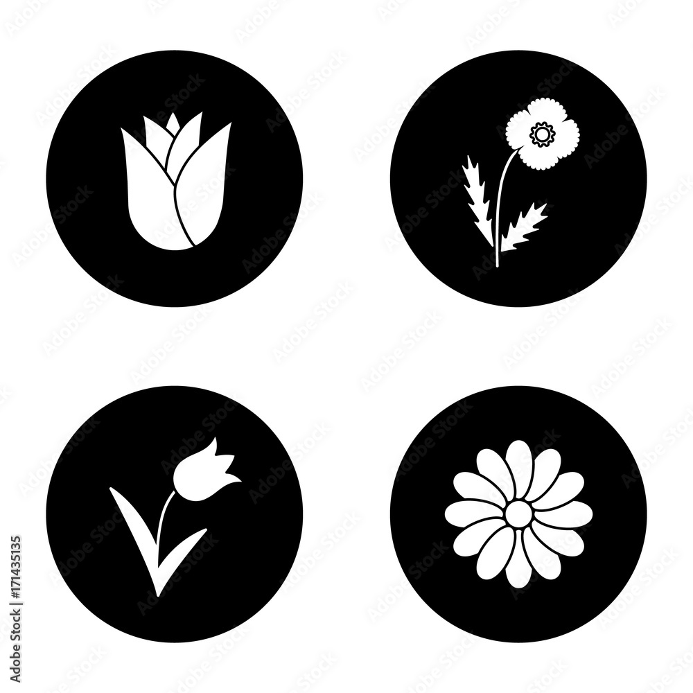 Flowers glyph icons set