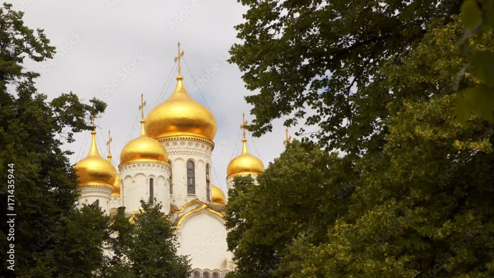 Gold-plated domes of the Temple of the Moscow Kremlin among tree branches Gold-plated domes of the Temple of the Moscow Kremlin among tree branches