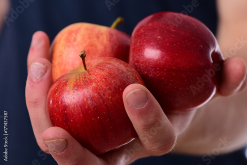 Male hands hold red apples. Apples in fresh juicy color