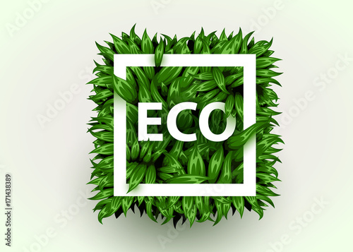Realistic grass frame. Eco concept. Fresh grass in form of square.