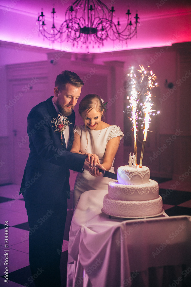 Happy bride and groom cut the wedding cake in the front of fireworks