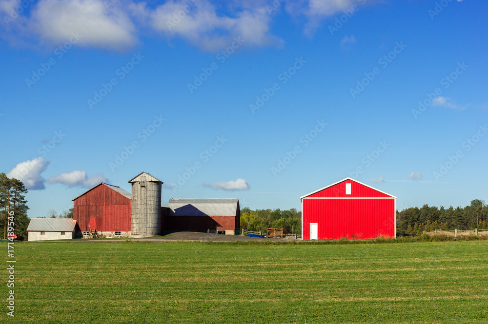 Farm with old and barn buildings