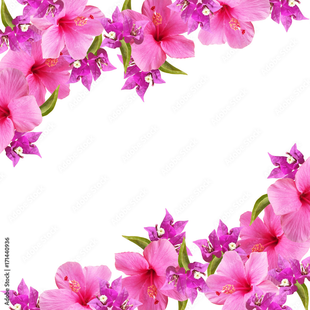 Beautiful floral background of pink and purple flowers 