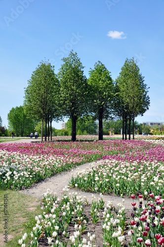 Wallpaper Mural Gärten der Welt Berlin Torontodigital.ca