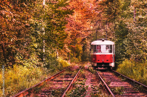Tramway to autumn : colorful tram, railways in fall forest