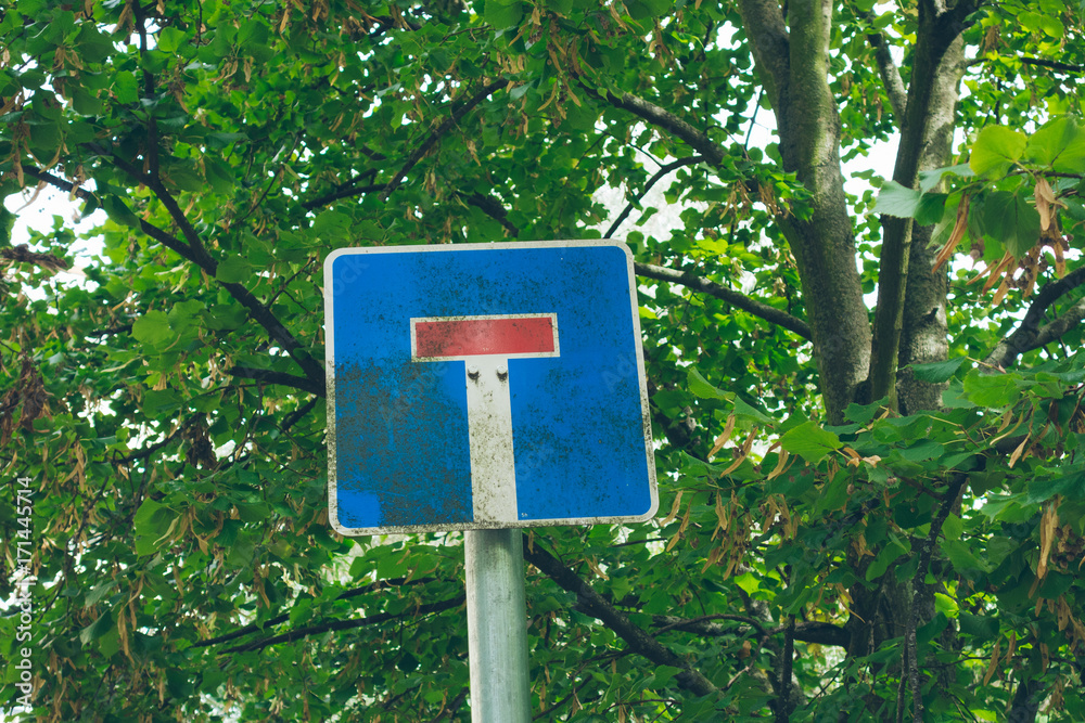 dead end traffic sign on green background