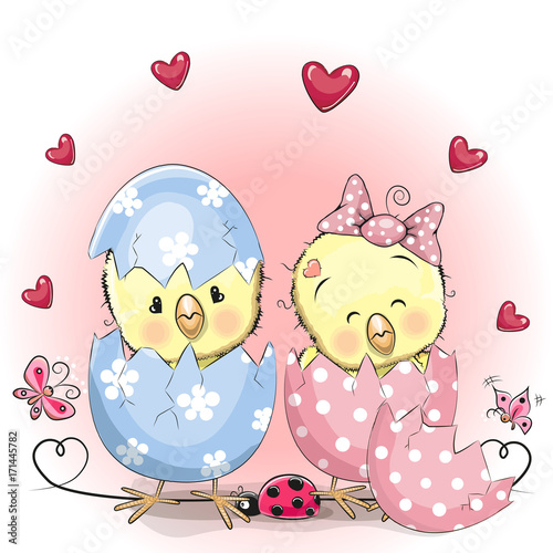 two hatched chick