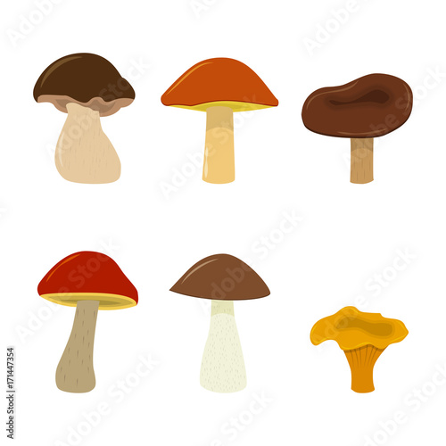 Vector mushrooms set. Isolated on white background cartoon mushrooms.