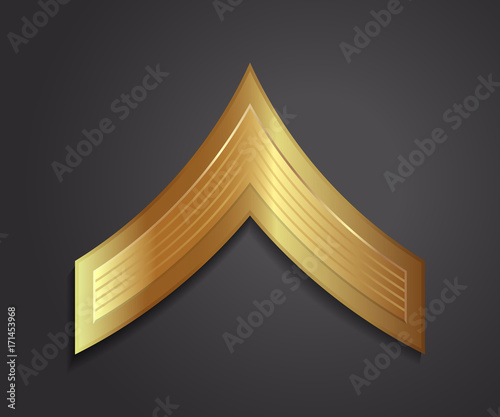 Military Ranks and Insignia. Stripes and Chevrons of Army