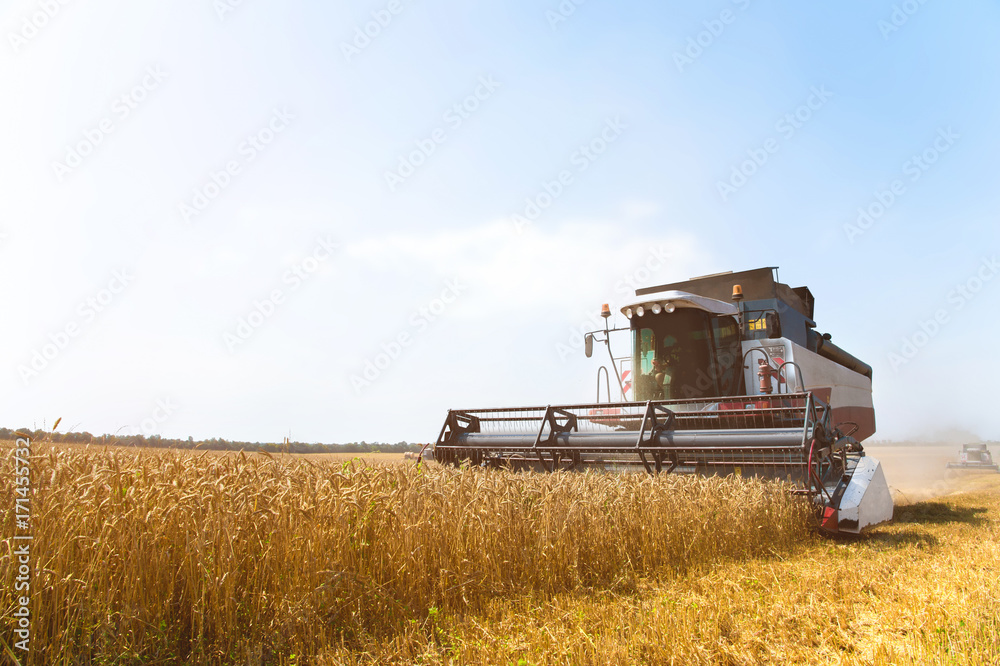 Obraz premium Close up The work of a combine harvester on a wheat field on a sunny day