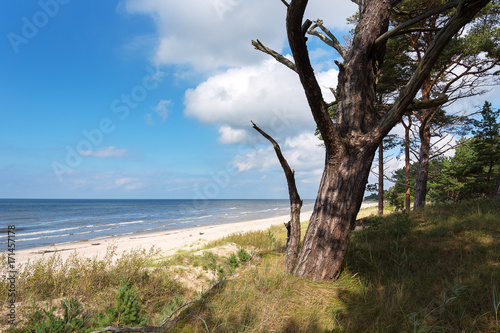 Fototapeta Naklejka Na Ścianę i Meble -  Baltic sea coast near Liepaja, Latvia.