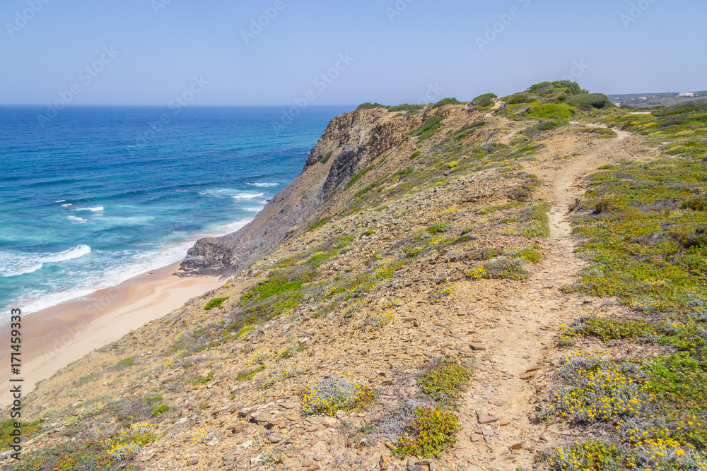 Cliffs, trail, beach and waves in Arrifana