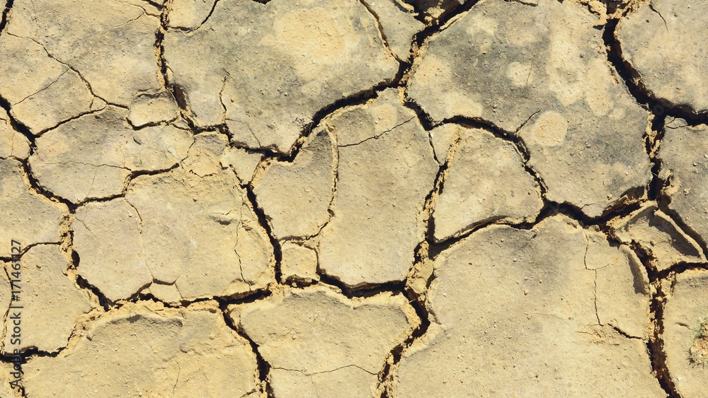 cracked soil texture cracked soil texture