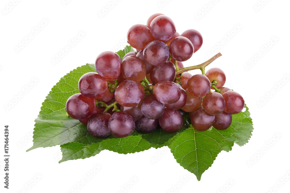 Fototapeta premium Red grapes isolated on over white background