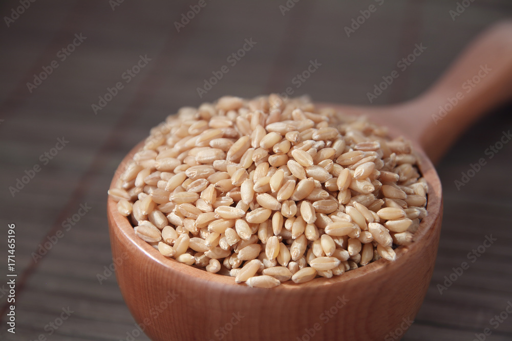 Indian Wheat with Wooden Scoop Indian Wheat with Wooden Scoop