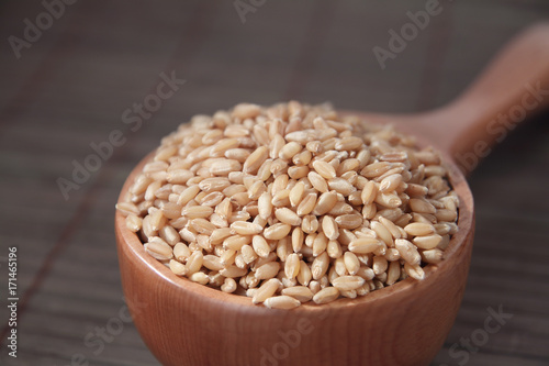 Indian Wheat with Wooden Scoop