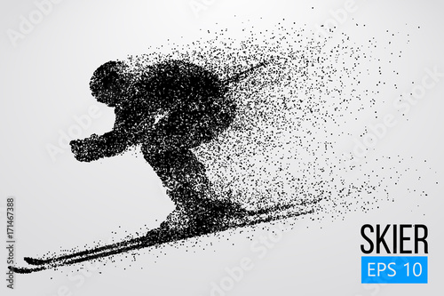 Silhouette of skier isolated. Vector illustration