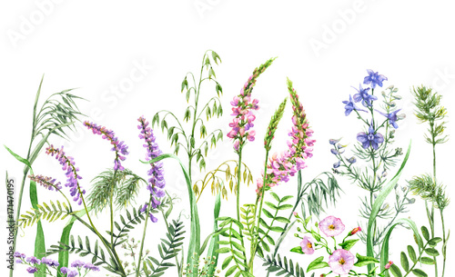 Watercolor wild flowers border