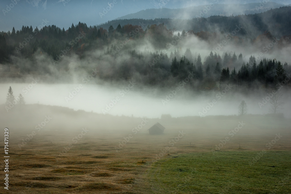 Foggy morning in Bavaria