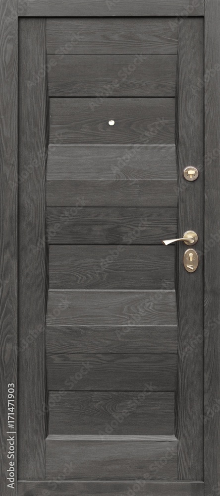 Obraz premium Entrance door (metal door)