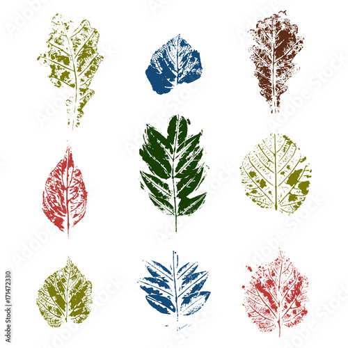 Color Set with hand made ink stamp leaves. Objects isolated on white. Black and white leaf blots. Monochrome artistic floral collection. Hi detailed texture of forest leaves