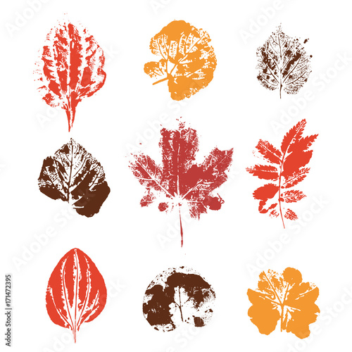Color Set with hand made ink stamp leaves. Objects isolated on white. Black and white leaf blots. Monochrome artistic floral collection. Hi detailed texture of forest leaves