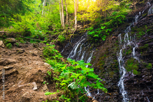 Mountain waterfall Guk in the wood. Ukrainian Carpathians.