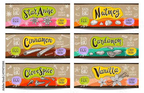 Set of hand drawn labels food, spices.