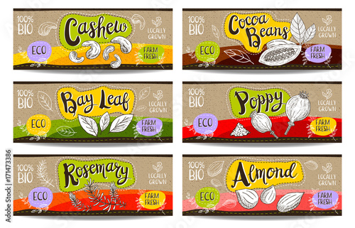 Set of hand drawn labels food, spices.