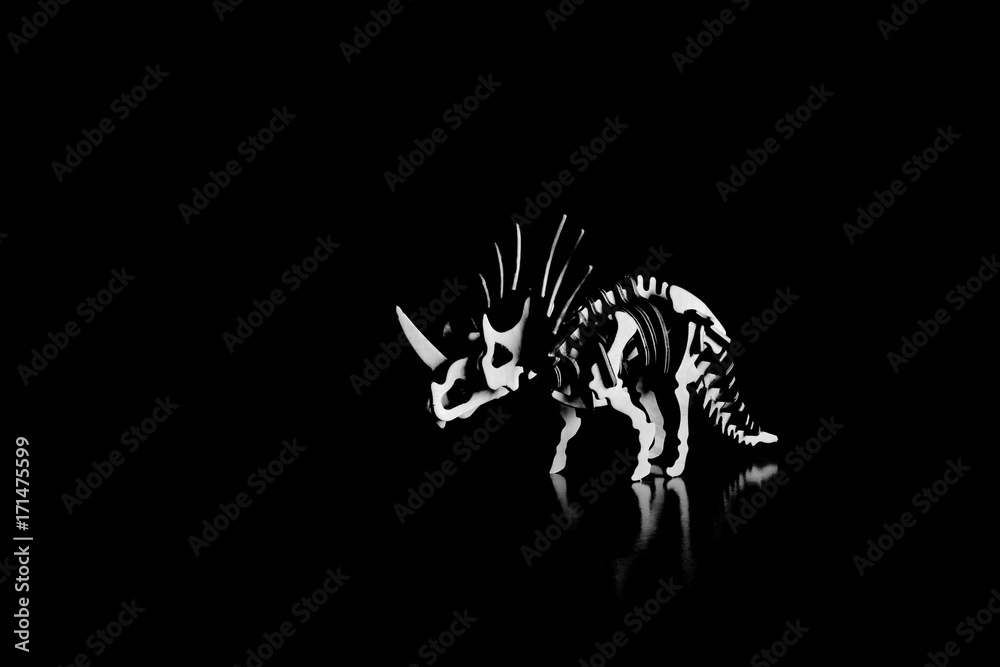Beautiful dinosaur skeleton, black and white