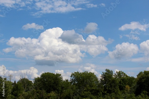 The white fluffy clouds above the treetops of forest. © Al