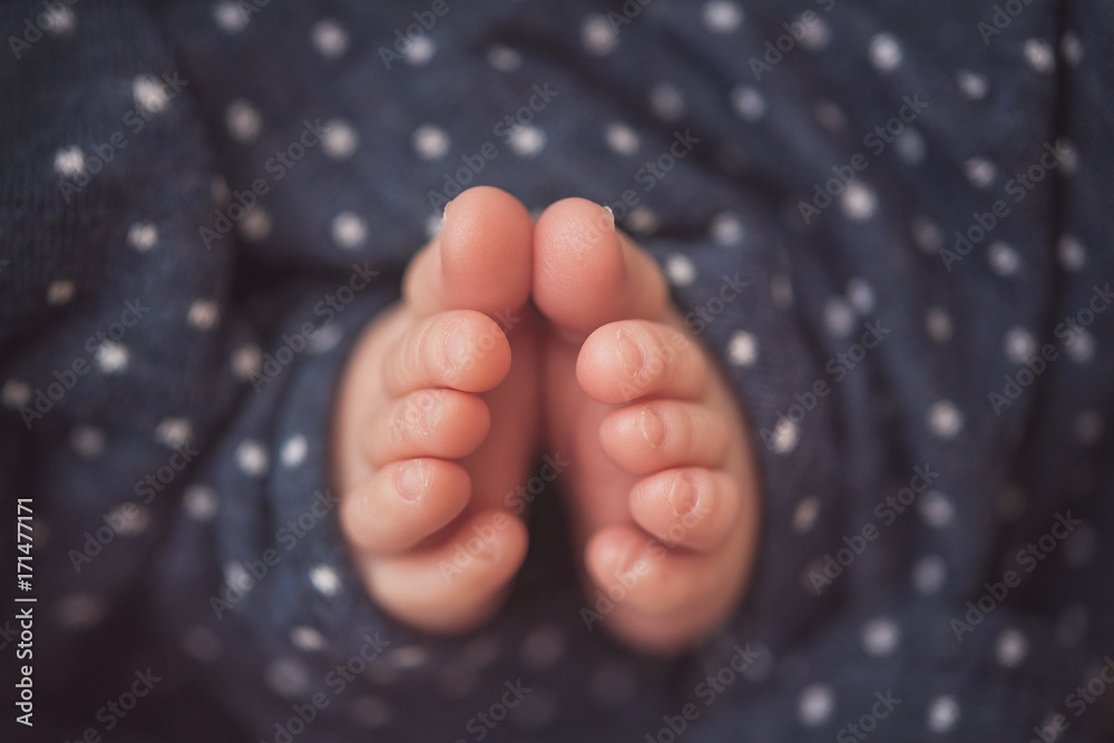 Cute baby feet peeking out from a swaddling blanket Stock Photo Adobe